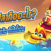 เกมยิงปลาคืออะไร เล่นยังไง ให้ได้เงิน