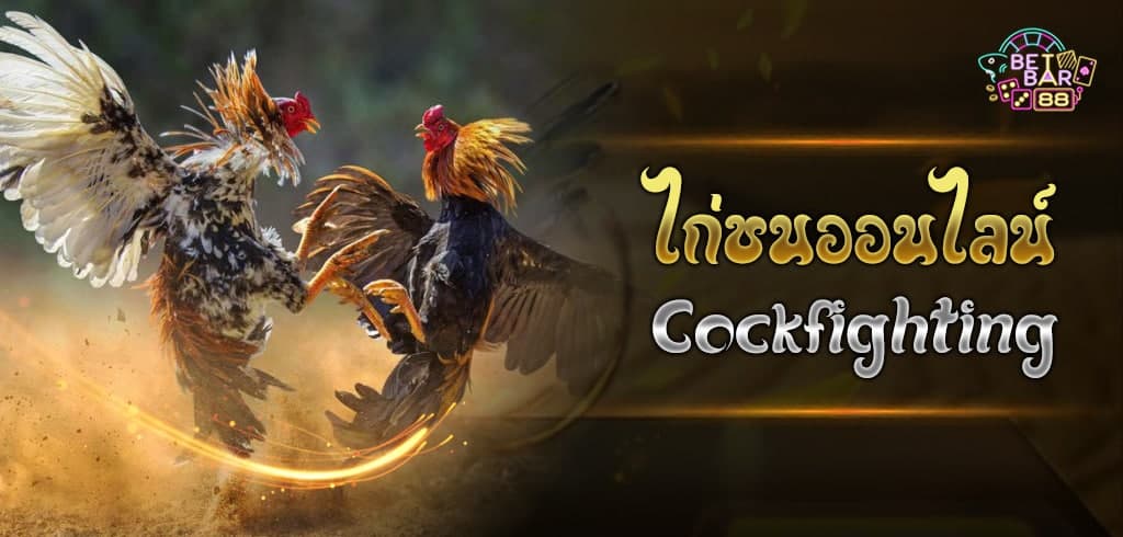 วิธีเล่น ไก่ชนออนไลน์ บนมือถือ เกมเดิมพันออนไลน์เงินล้าน