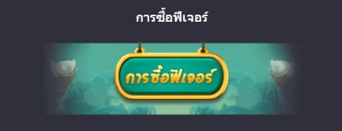 การซื้อฟีเจอร์สล็อต