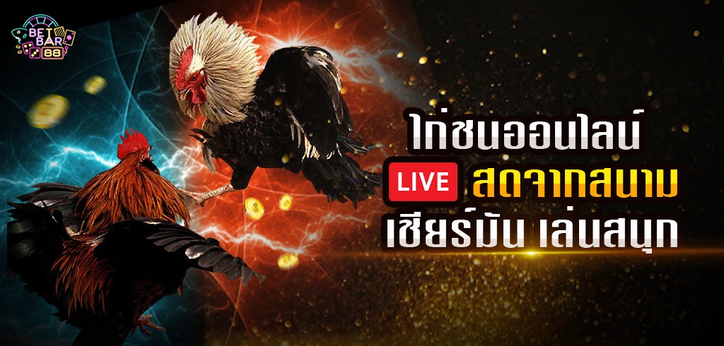 ไก่ชนออนไลน์ SV388 LIVE สดจากสนาม