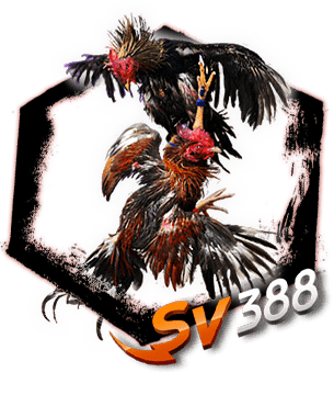 ไก่ชนออนไลน์ SV388