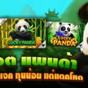 สล็อตแพนด้า เกมพี่หมีสายแจก สร้างเงินได้วันละพัน