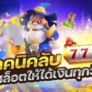 เล่นสล็อตได้เงินทุกวันกับเทคนิคลับปั่นยังไงก็ได้ชัวร์
