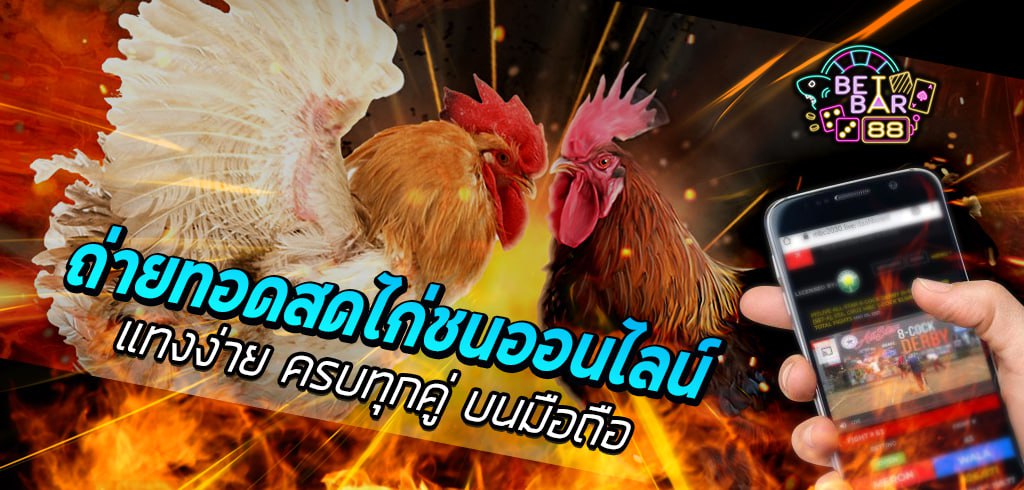 ถ่ายทอดสดไก่ชนออนไลน์ แทงง่ายทุกคู่บนมือถือ