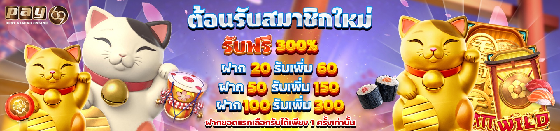 ฝากครั้งแรก 300% ที่ PAY69