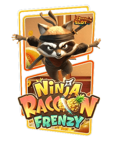 NINJA RACCOON FRENZY