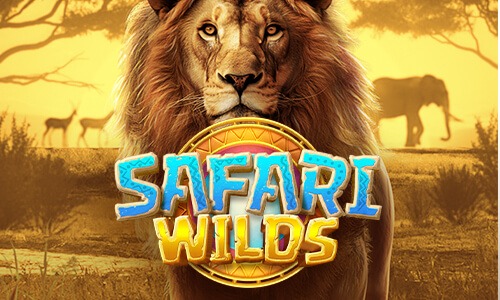 Safari Wilds