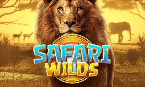 Safari Wilds